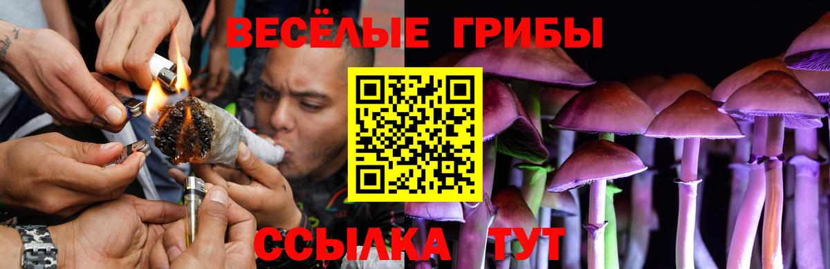 Благодарный  Галлюциногенные грибы Magic Shrooms  Вход с VPN 